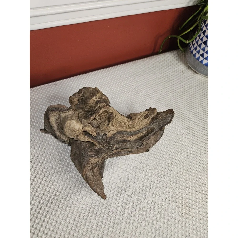 Unique Natural Mopani / Malaysian Driftwood -Aquarium & Terrarium Hardscape